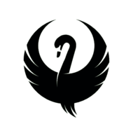 Cupom Teal Swan 